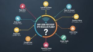 Why Look for Cheap IPTV Reseller Plans?